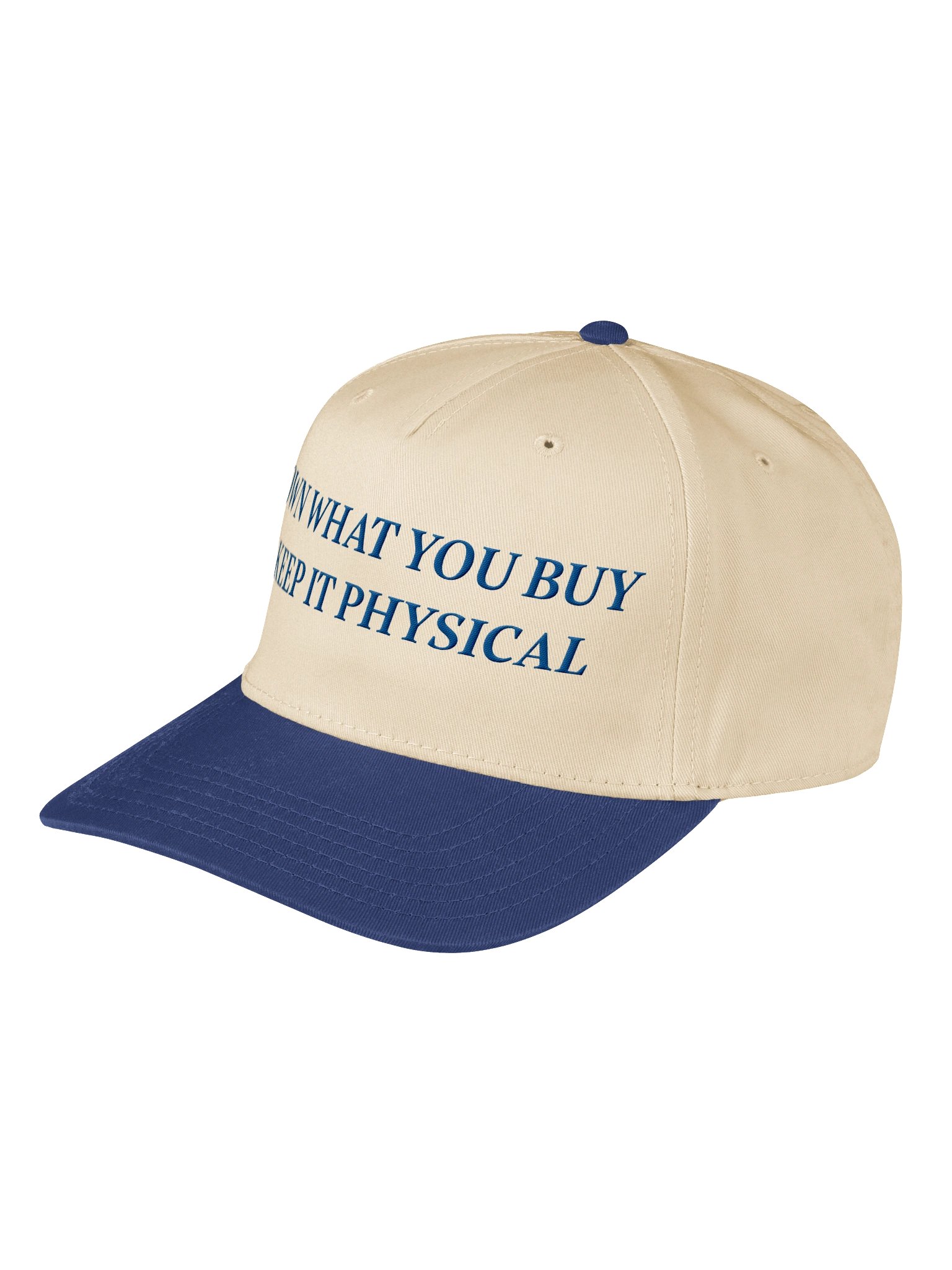 Own What You Buy Keep It Physical Embroidered Hat | Gamer Ownership Cap | Retro Gaming Gift product image (4)