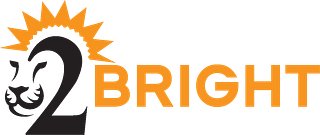 2Bright313