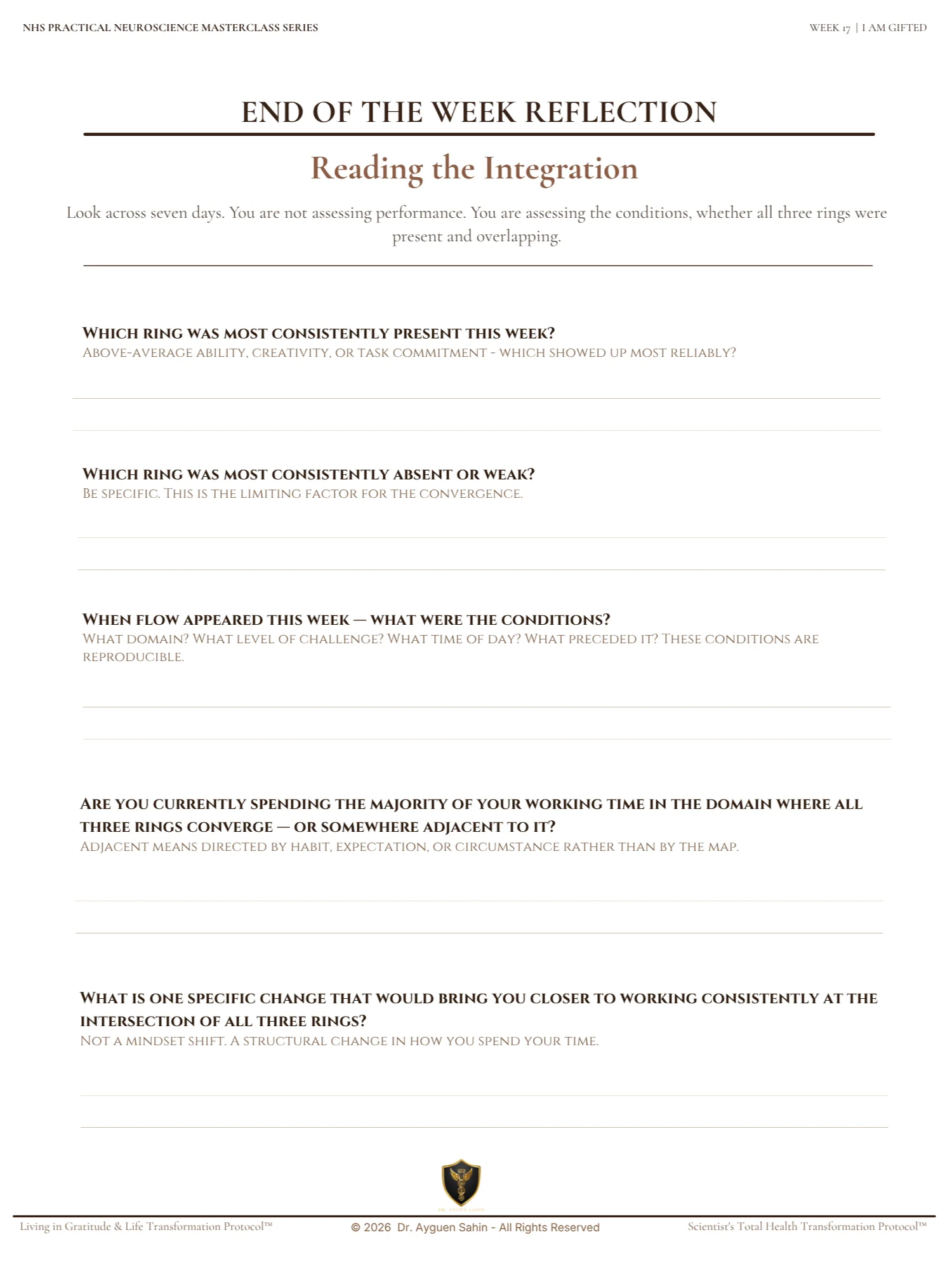 GIFT INTEGRATION AUDIT product image (3)