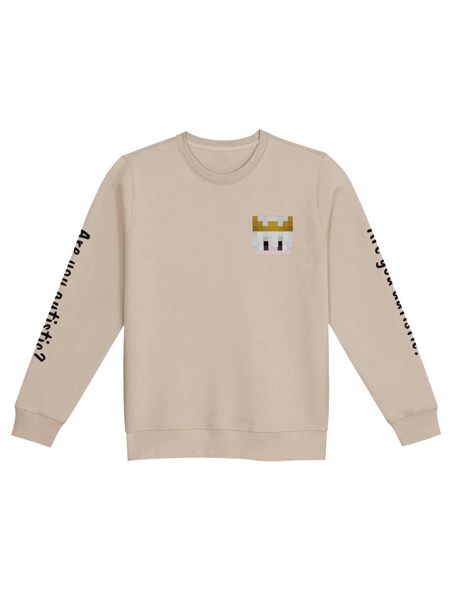 'Are you autistic?' Sweatshirt product image (1)