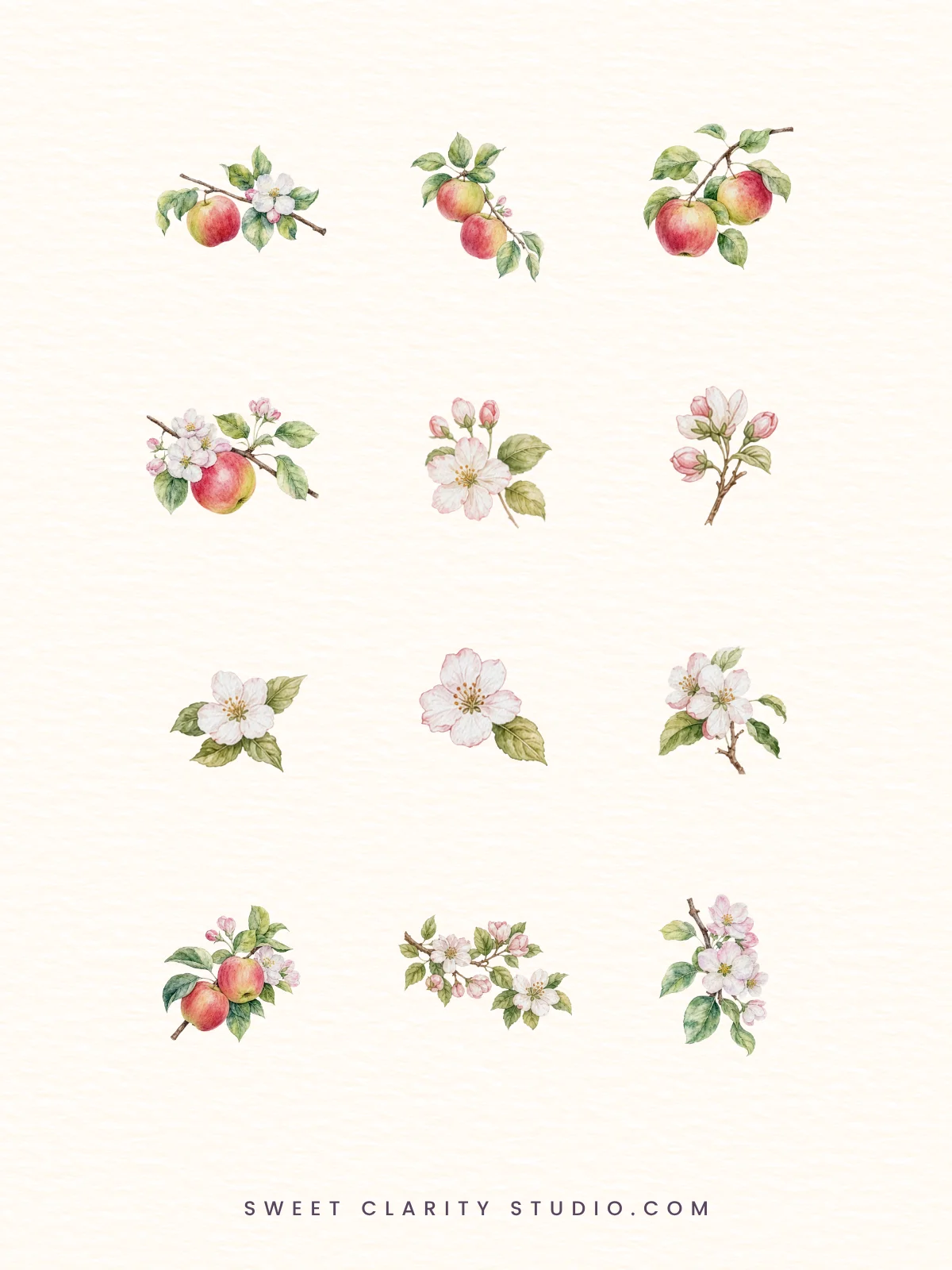 Apple Blossom Orchard Watercolor Botanical Clipart Pack product image (2)