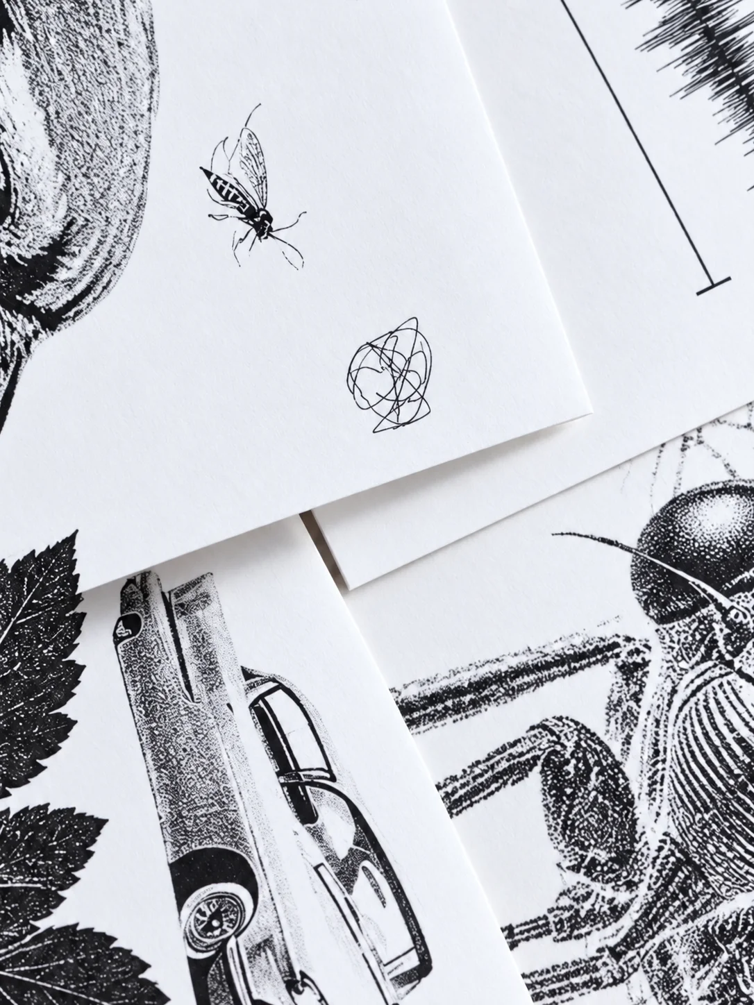 Hello From Below: A Cicada Zine product image (3)