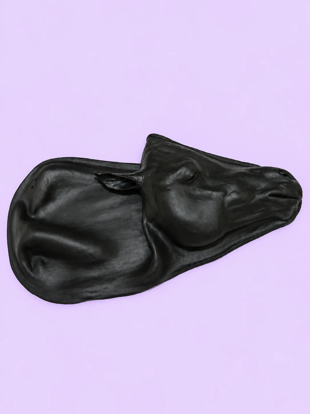 All-In-One Equine Procedures Simulator (Hyperrealistic) product image (10)