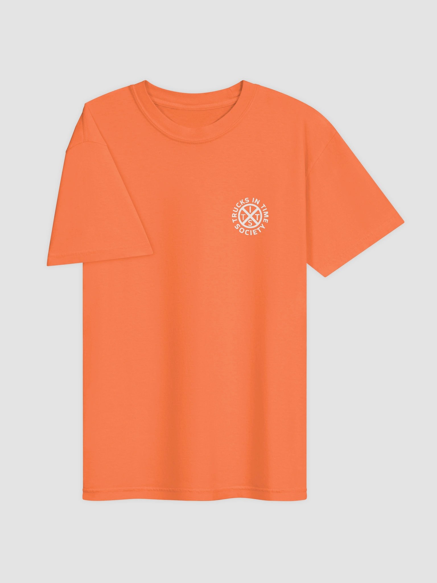 REAL FRIENDS SHOW YOU THEIR BOOBS Salty Shirt product image (50)