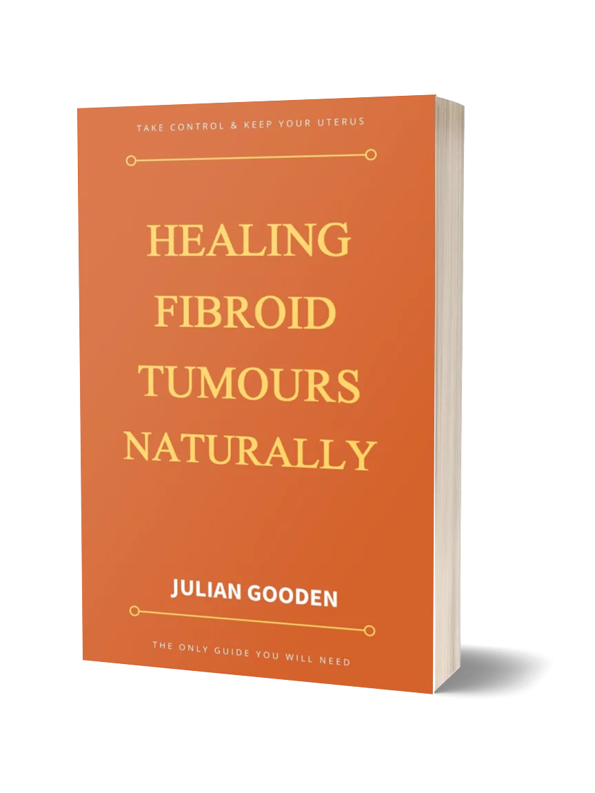 Healing Fibroid Tumours Naturally (Ebook) product image (1)