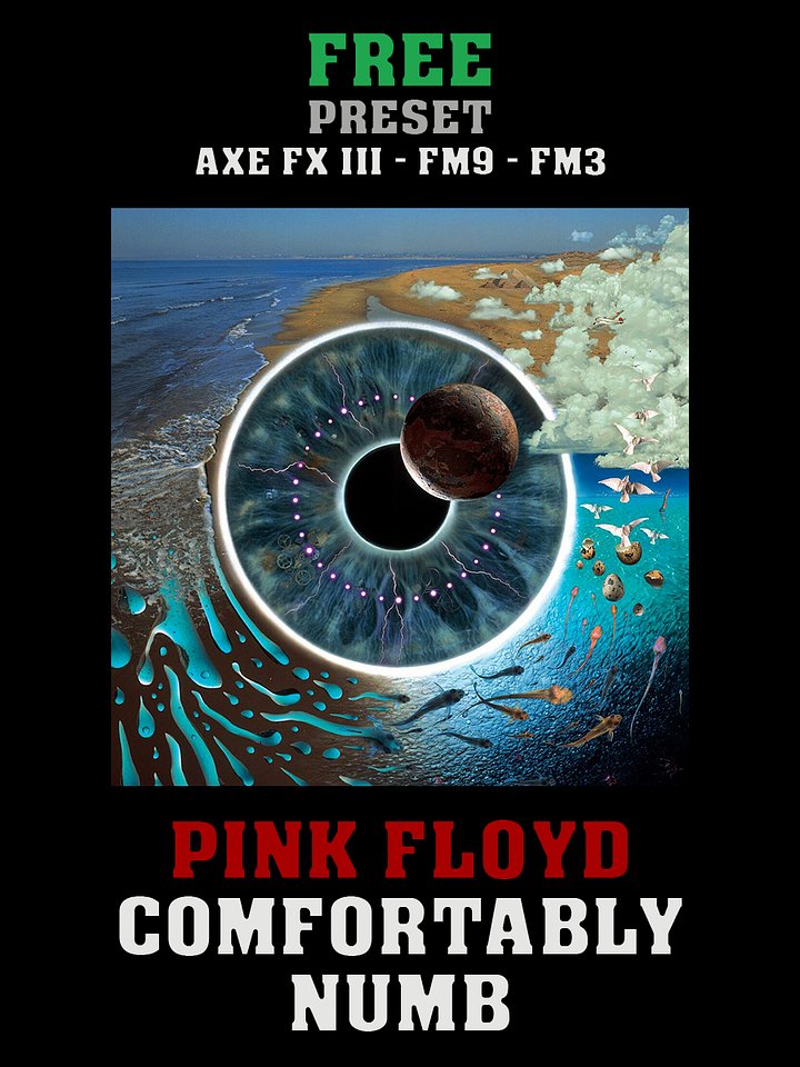 Pink Floyd - Comfortably Numb (PULSE) | Free Preset | Axe FX III - FM9 - FM3 product image (1)