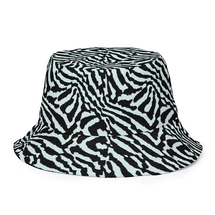 Blue Zebra Hat product image (2)