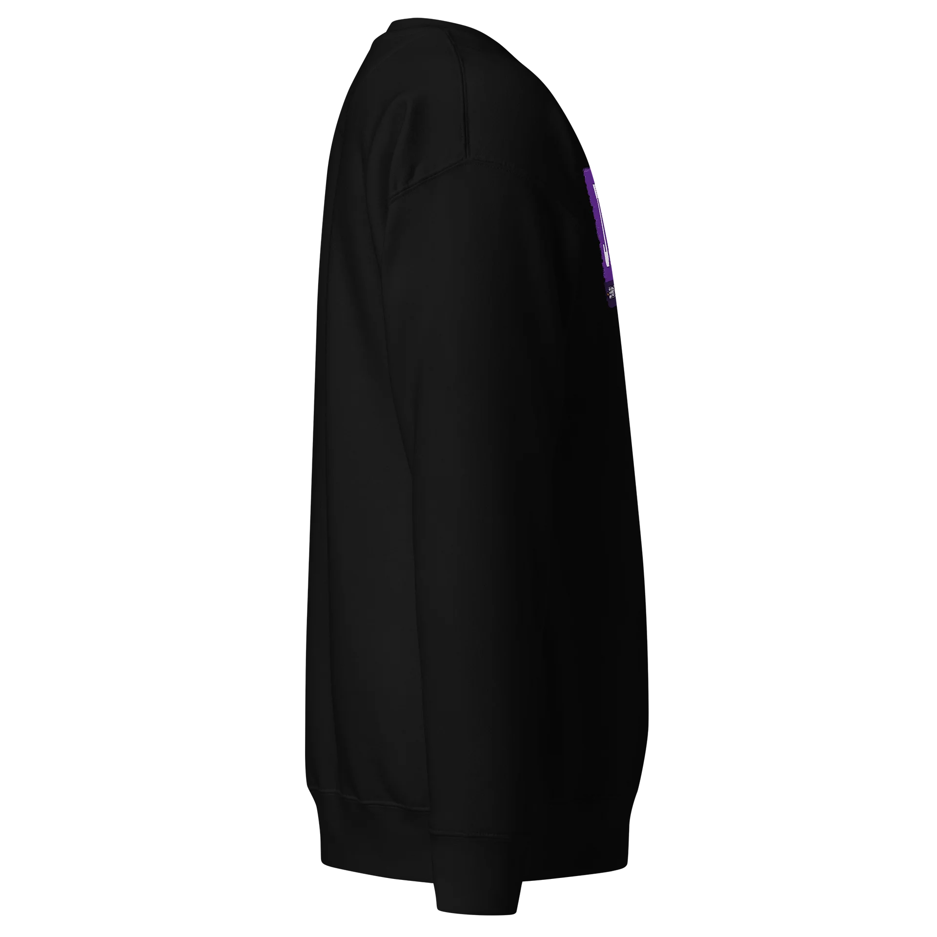 JBL Sweatshirt product image (3)