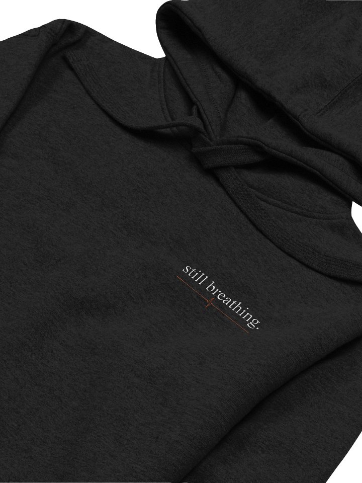 Still Breathing Embroidered Hoodie product image (2)