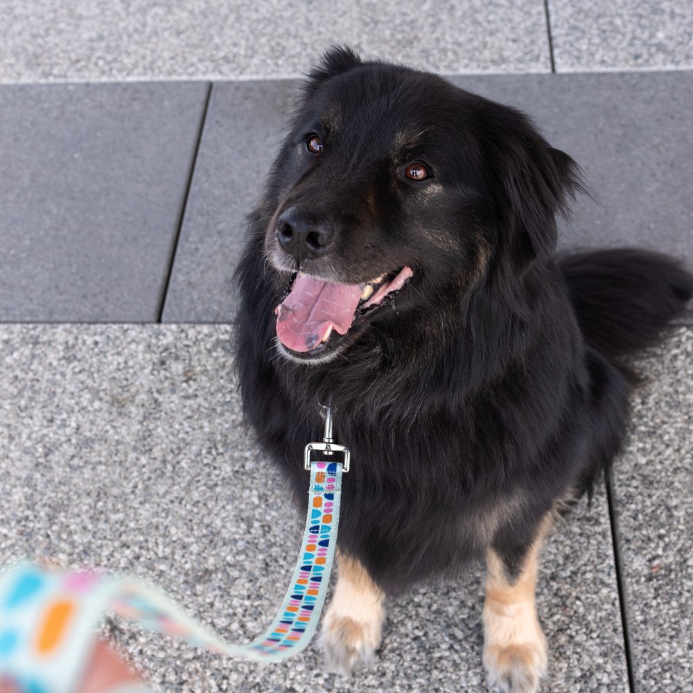Dog Leash product image (2)
