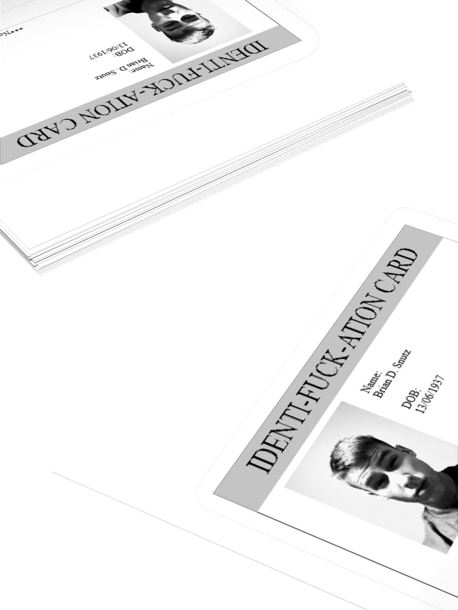 IDENTI-FUCK-ATION CARD STICKER (Brian D. Snutz) product image (4)