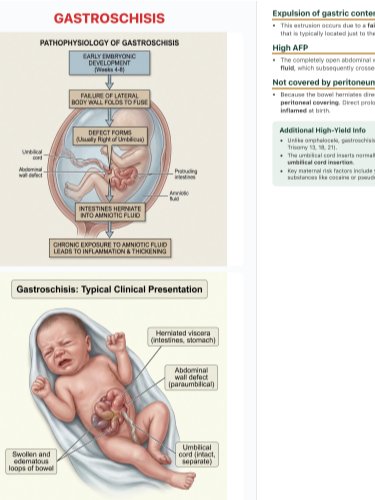IvyTutoring Step 1 HY Book - Gastrointestinal product image (2)