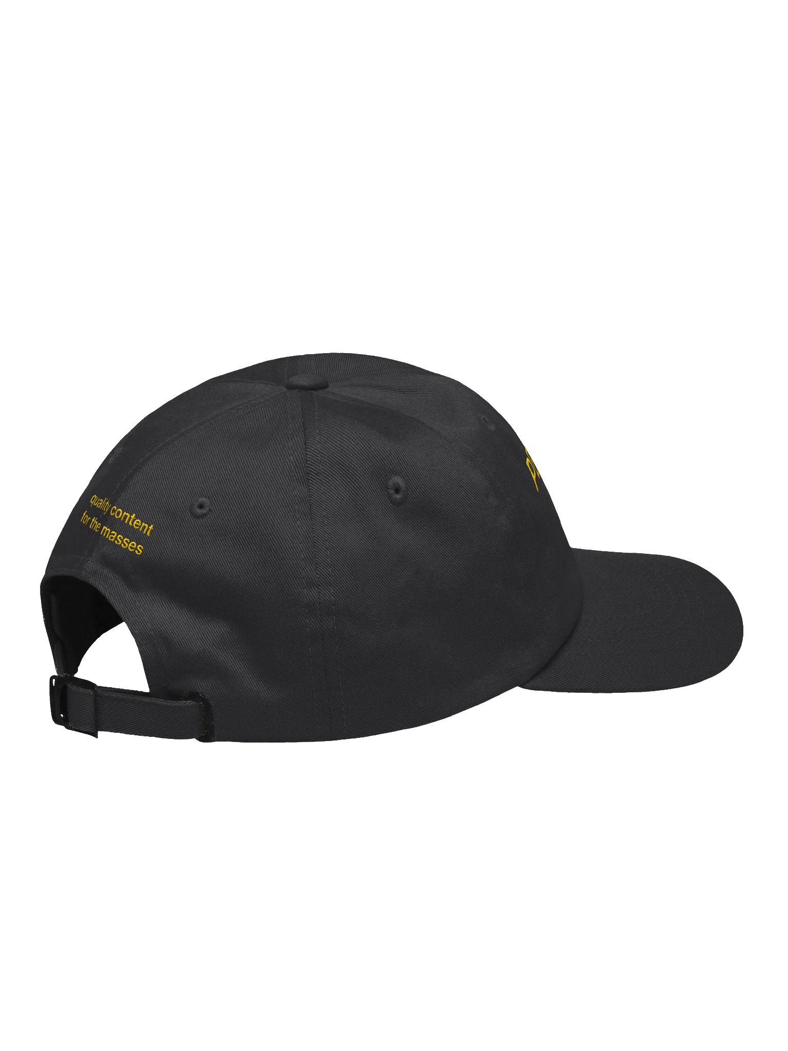 PZ Dad Hat product image (4)