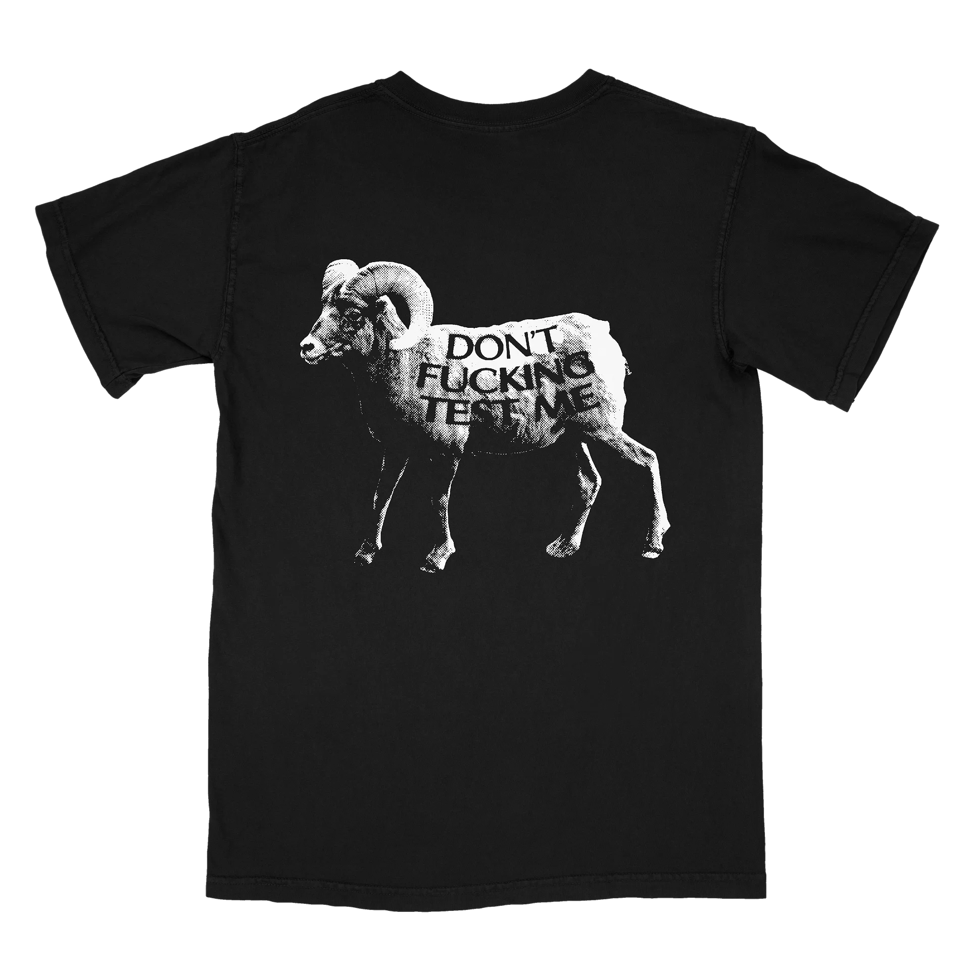 DIE FOREVER T-SHIRT product image (2)