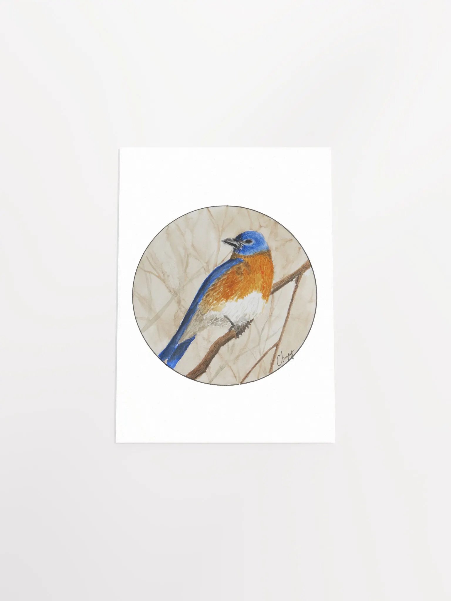 Eastern Bluebird print product image (4)