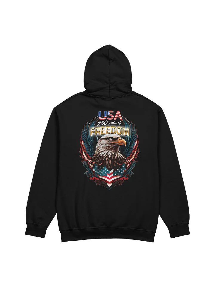 America 250 GENERIC Hoodie product image (8)