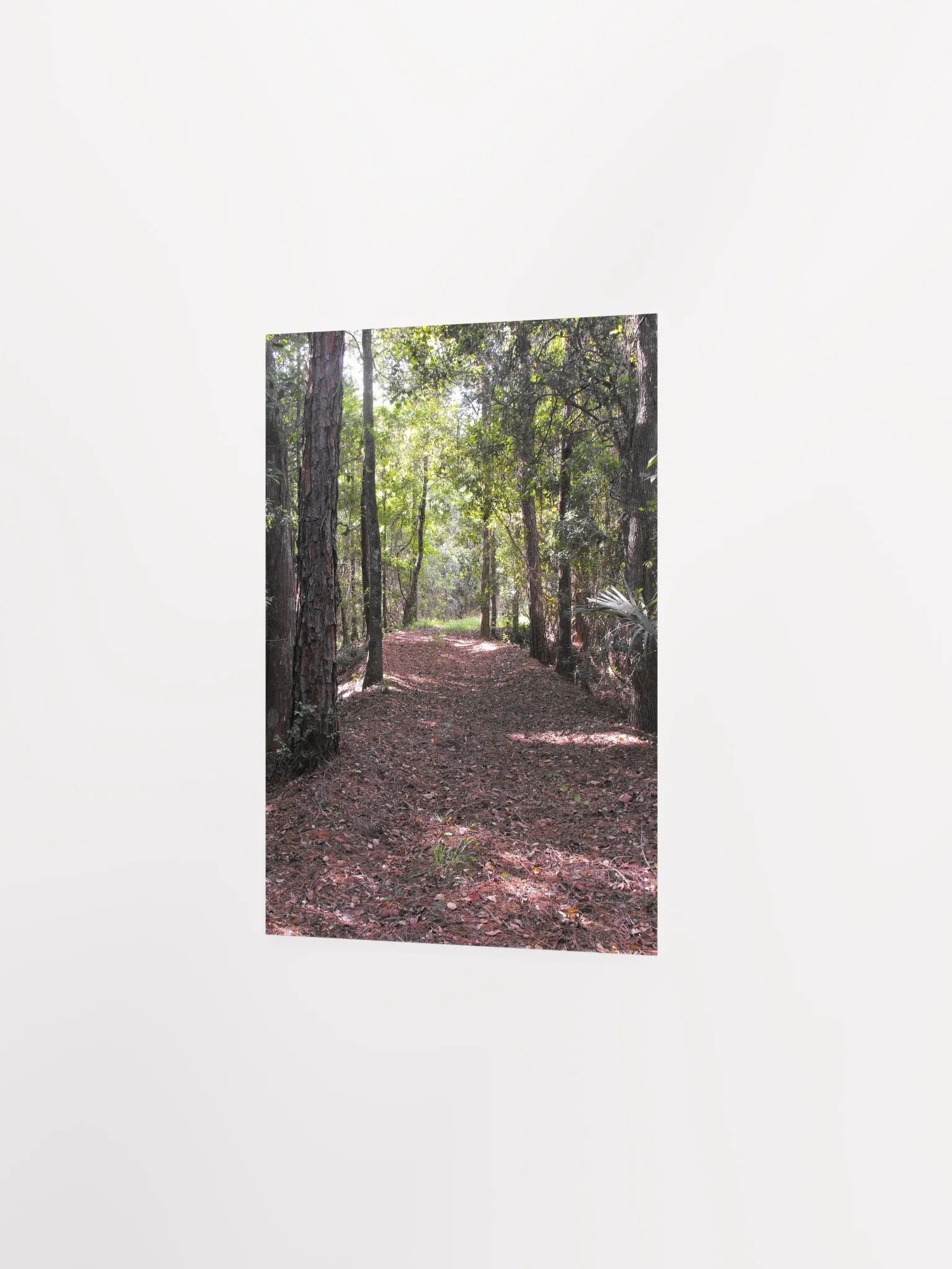 Florida Trail product image (20)