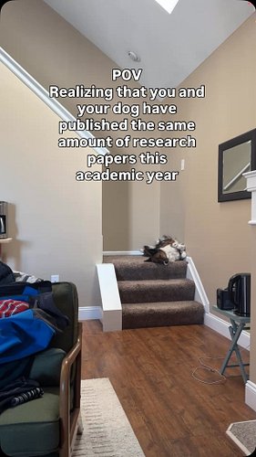 Aria, the dog has been beside me for every paper I’ve written throughout my medical journey. 

Unfortunately, we were unprodu...