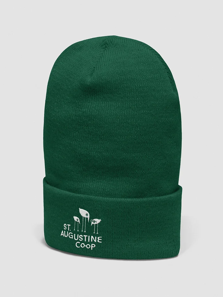 Co-op Beanie Hat product image (17)