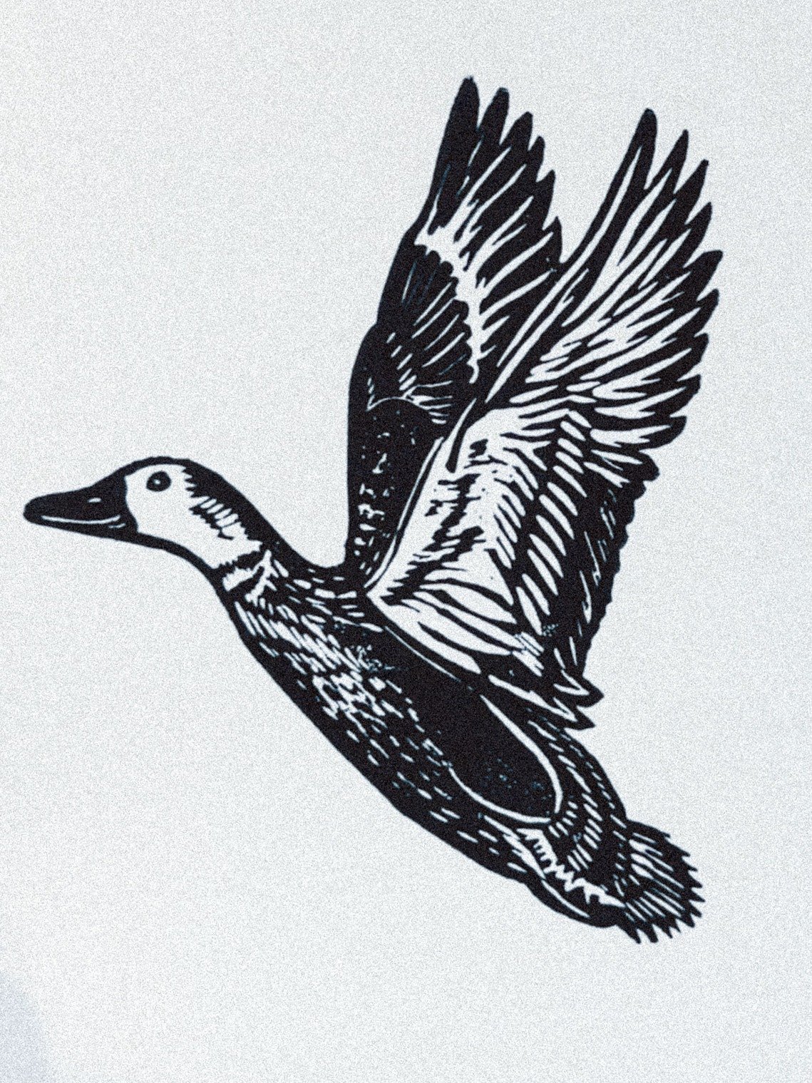 Duck in Flight Linocut Print product image (4)