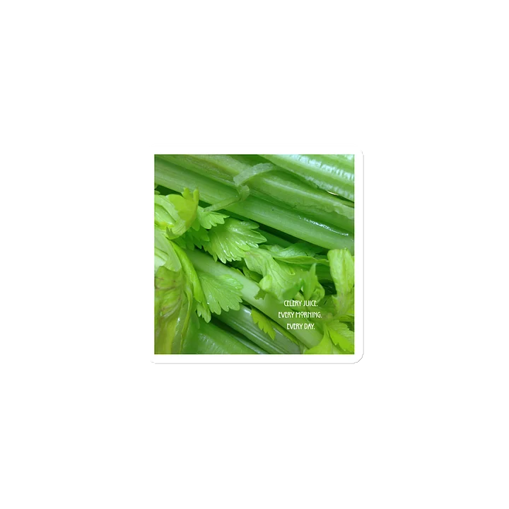 Celery Juice- Every morning. Every day- Magnet product image (1)