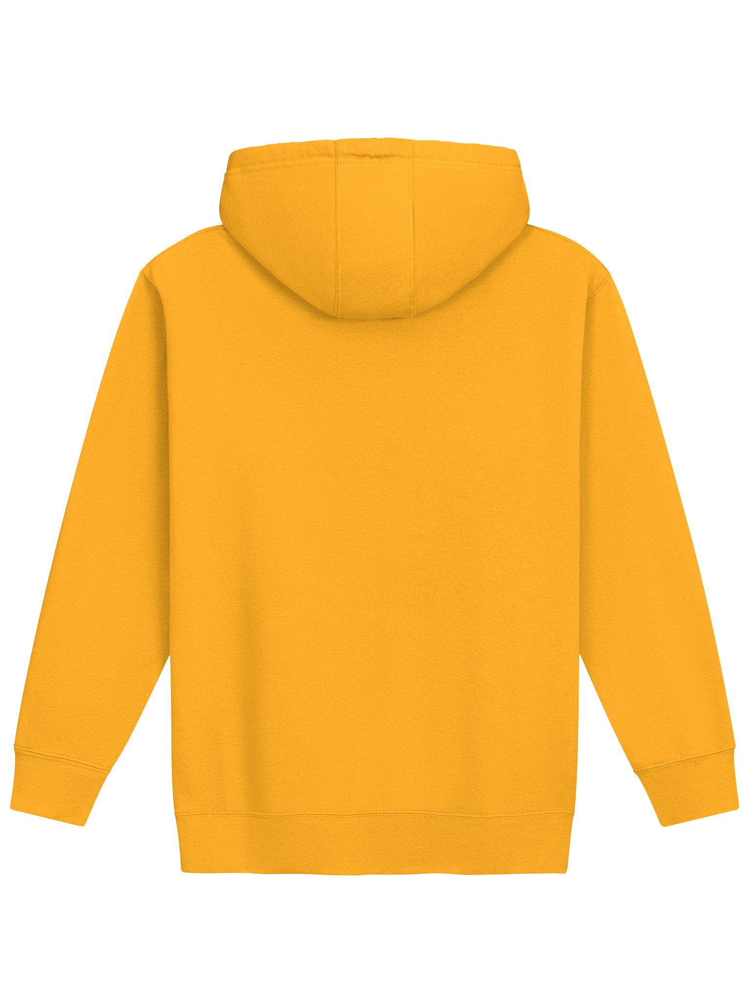 Ahdasee Records Hoodie - Gold product image (2)
