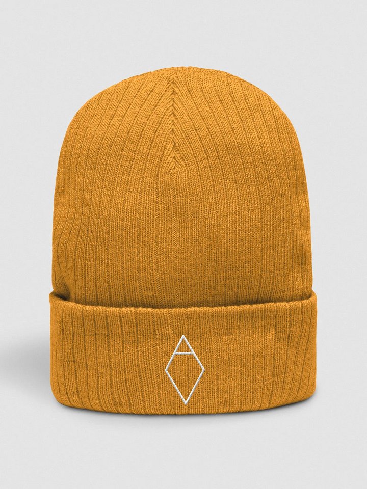 Iceberg Logo Beanie product image (2)