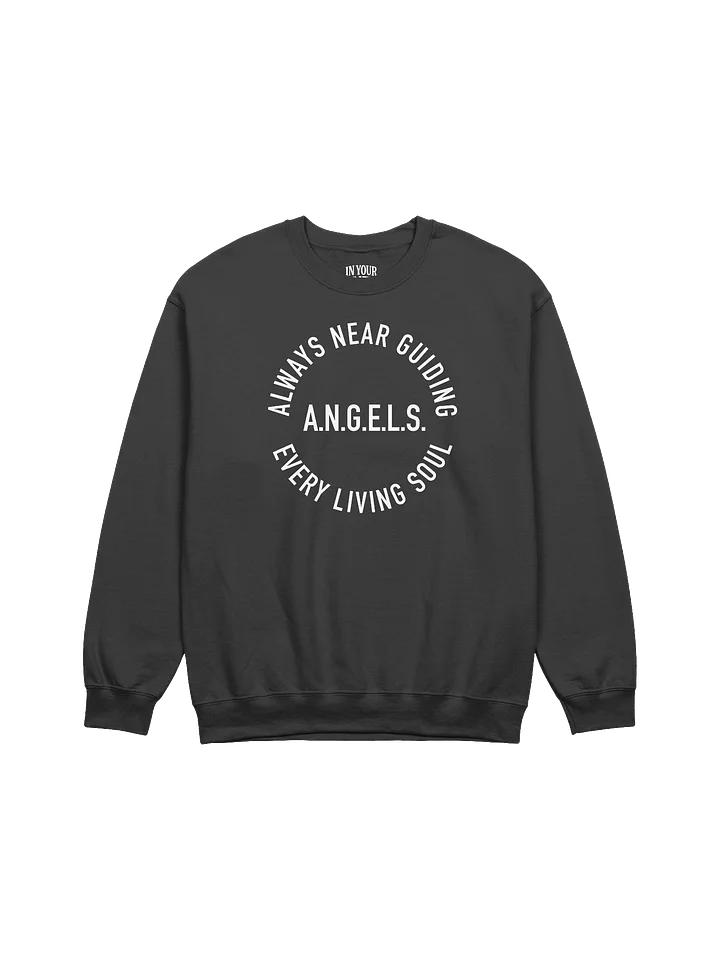 A.N.G.E.L.S. Sweatshirt product image (1)