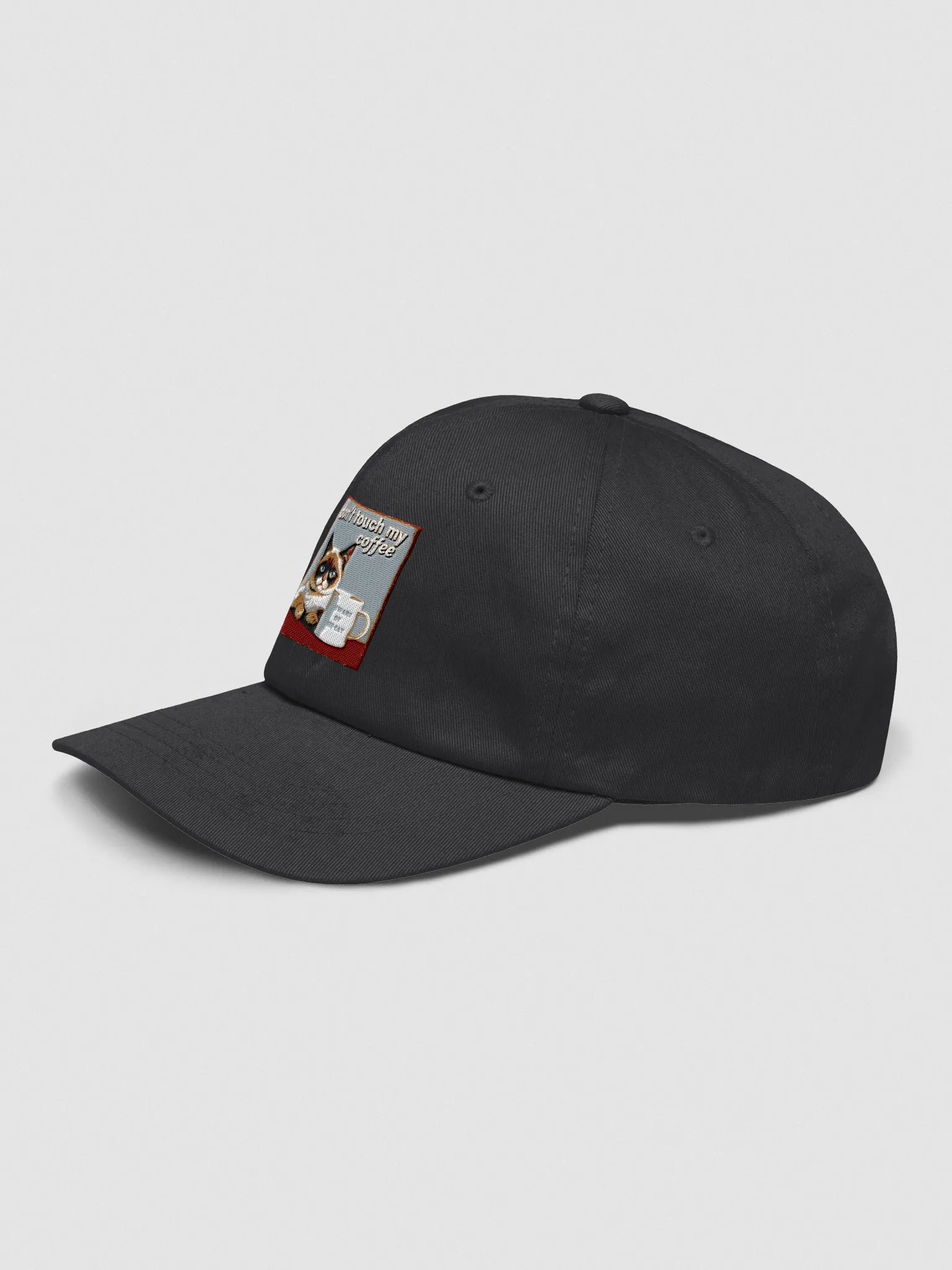 Coffee Cat Warning Dad Hat product image (26)