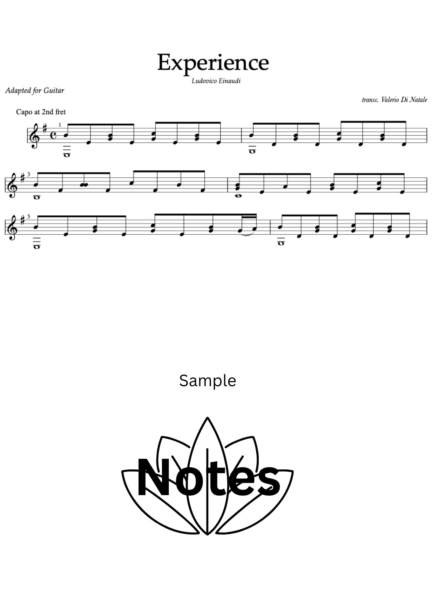 Experience by Ludovico Einaudi product image (3)