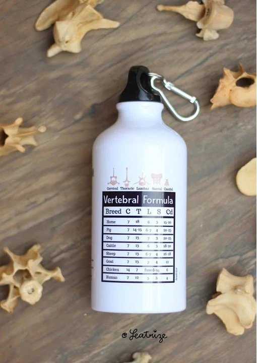 Canine Body System Sports Jugs product image (2)