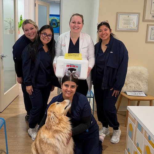 Happy Summer, Poppy Kids! ☀️We are so blessed to have the best team + Hawley 🐶! Thank you Petaluma Oral Surgery for the It’s ...
