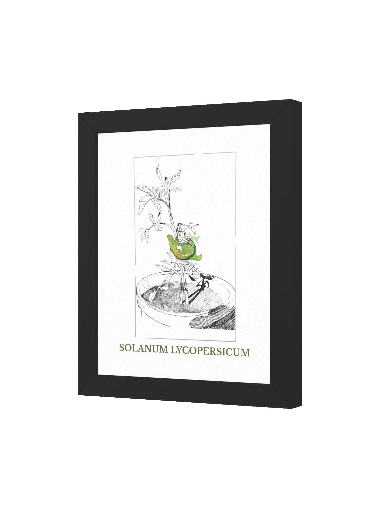 Solanum lycopersicum, fine art canvas (print on demand) product image (3)