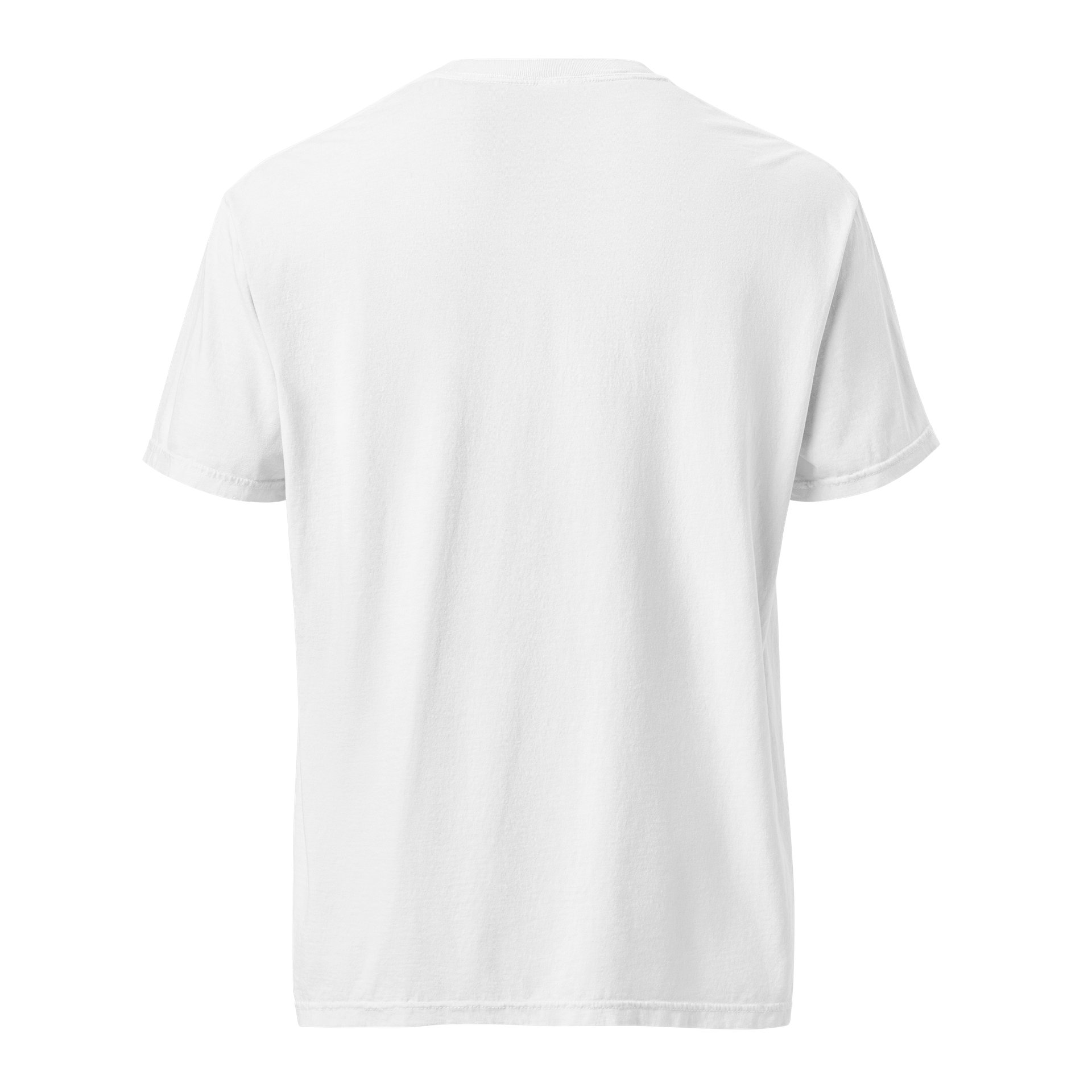 Courage Over Comfort – I CHOOSE Collection T-Shirt product image (40)