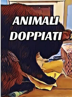Animali doppiati - best of su YouTube 🐱🦍🐼 #doppiaggio #animali #roma #animalidivertenti 