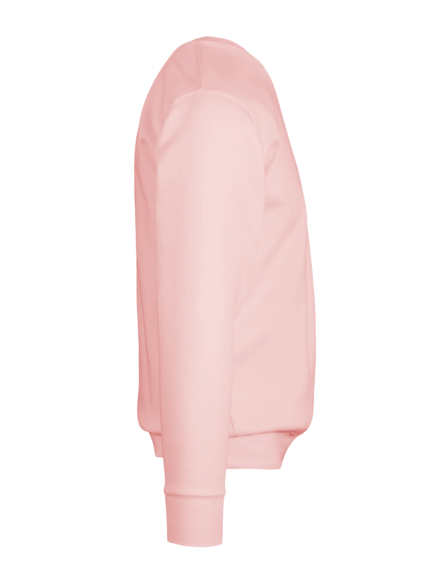 The Flamingo Heritage Sweatshirt 🦩 product image (142)
