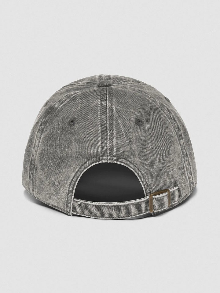 Biobilt Dad Hat product image (2)