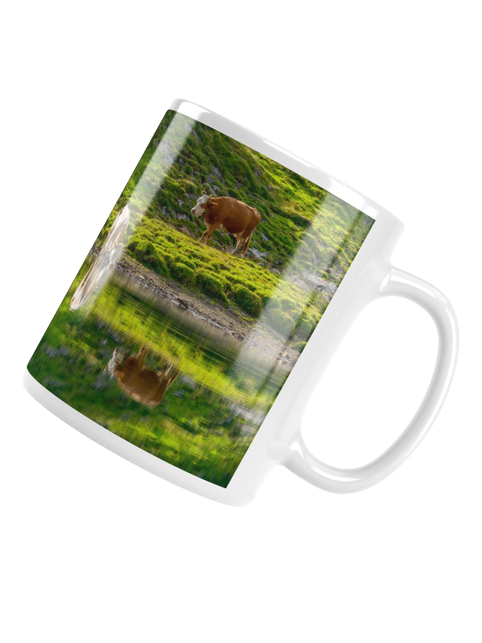 Cows with their reflections product image (14)