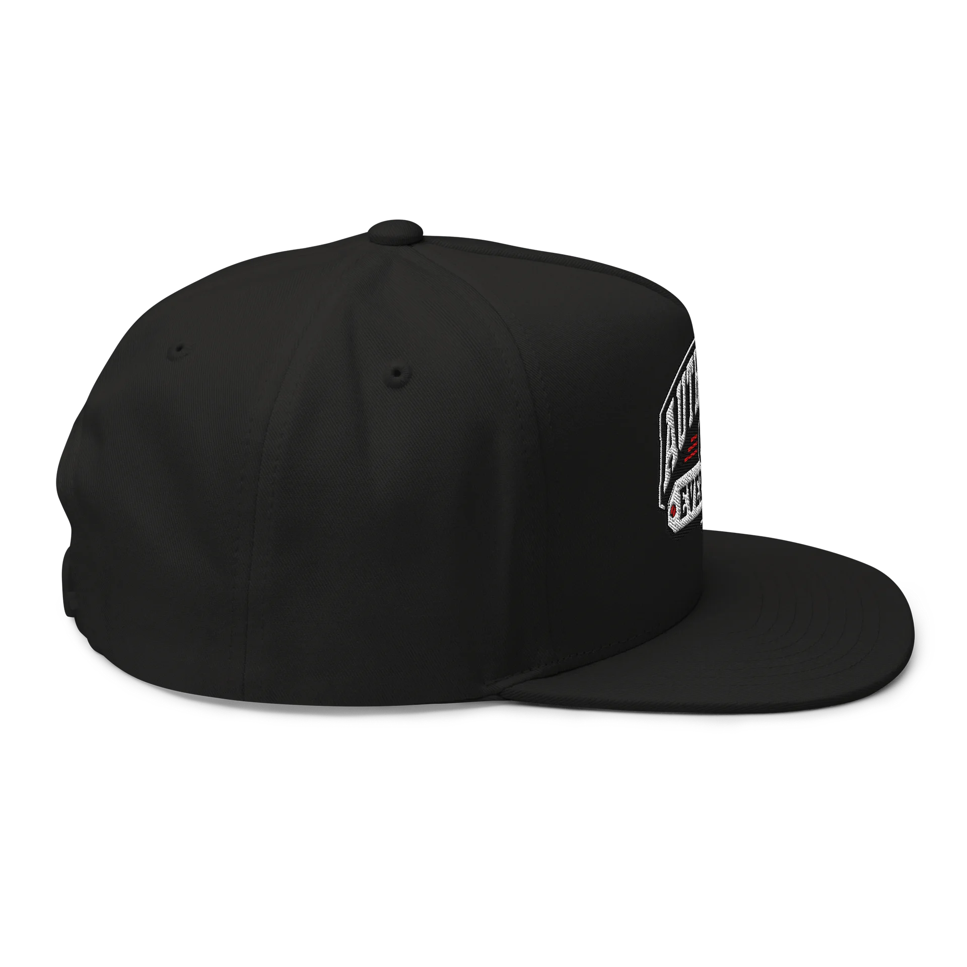 Athletic Logo hat product image (4)