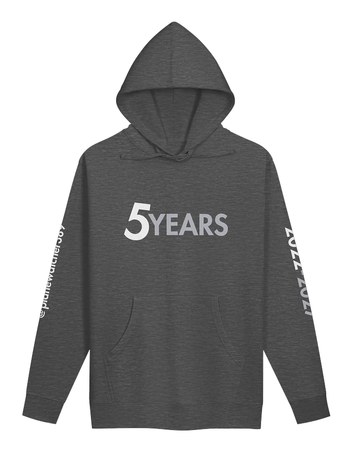 PW389 5 Years Hoodie product image (1)