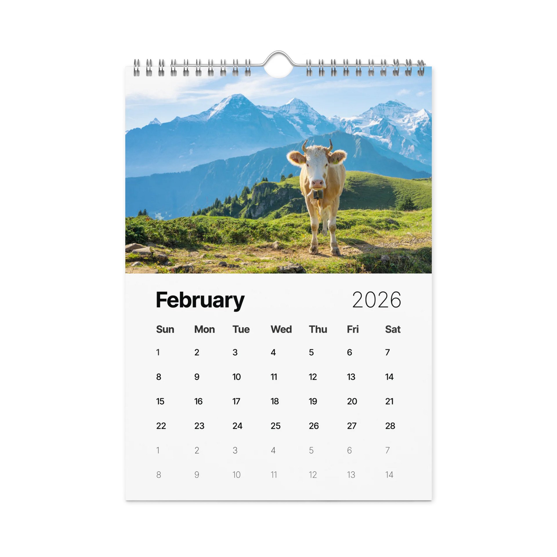 Swiss Cow Calendar 2026 product image (3)