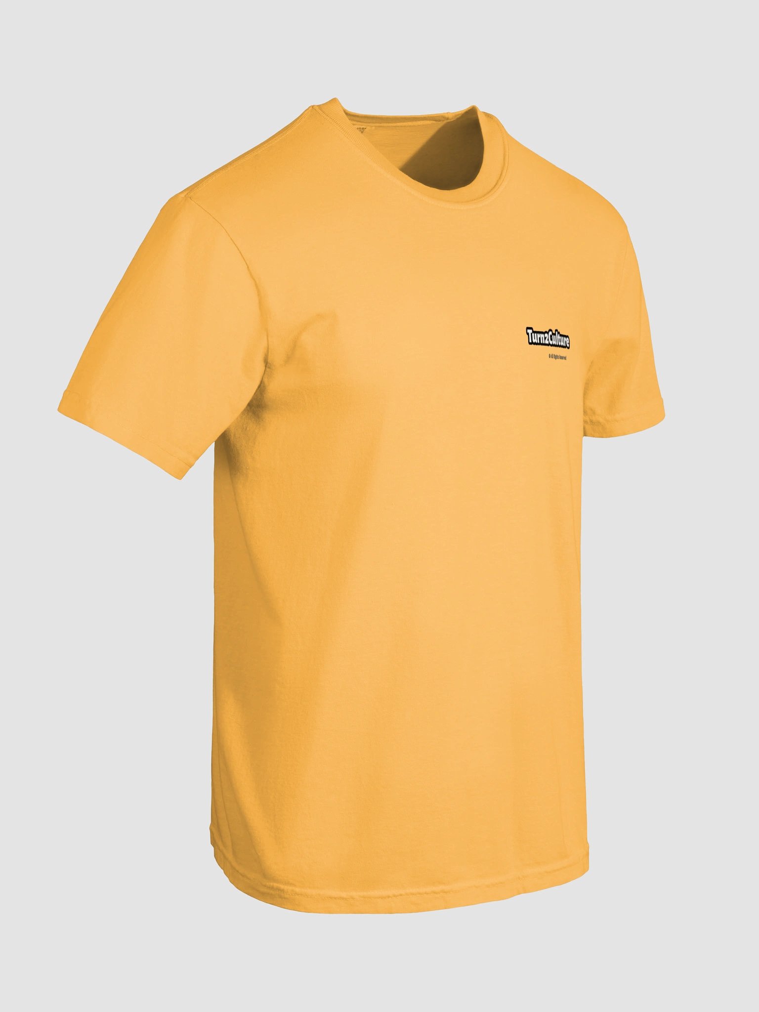 Turn2Culture Garment-Dyed Heavyweight T-Shirt product image (6)
