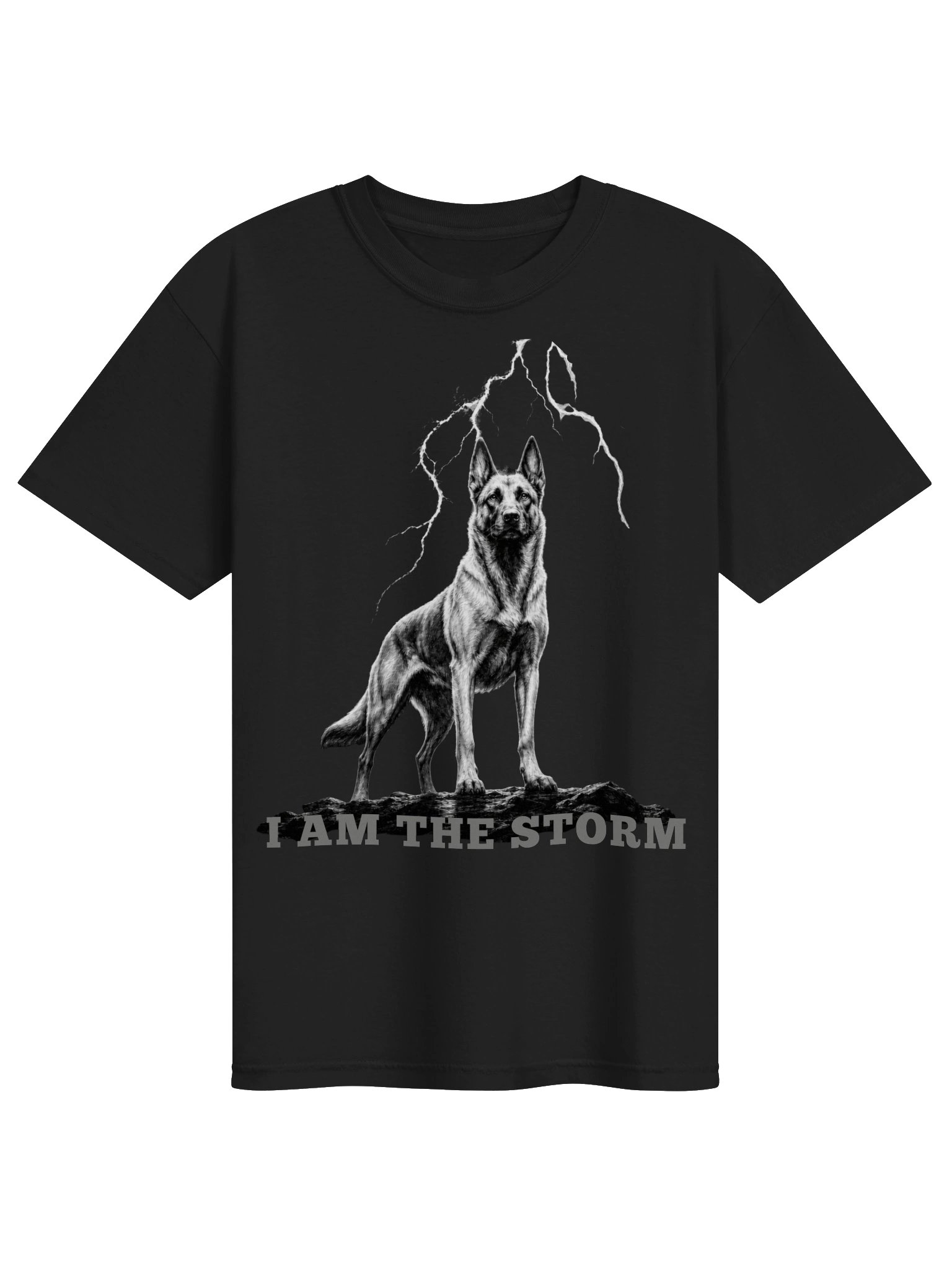 I AM THE STORM product image (1)