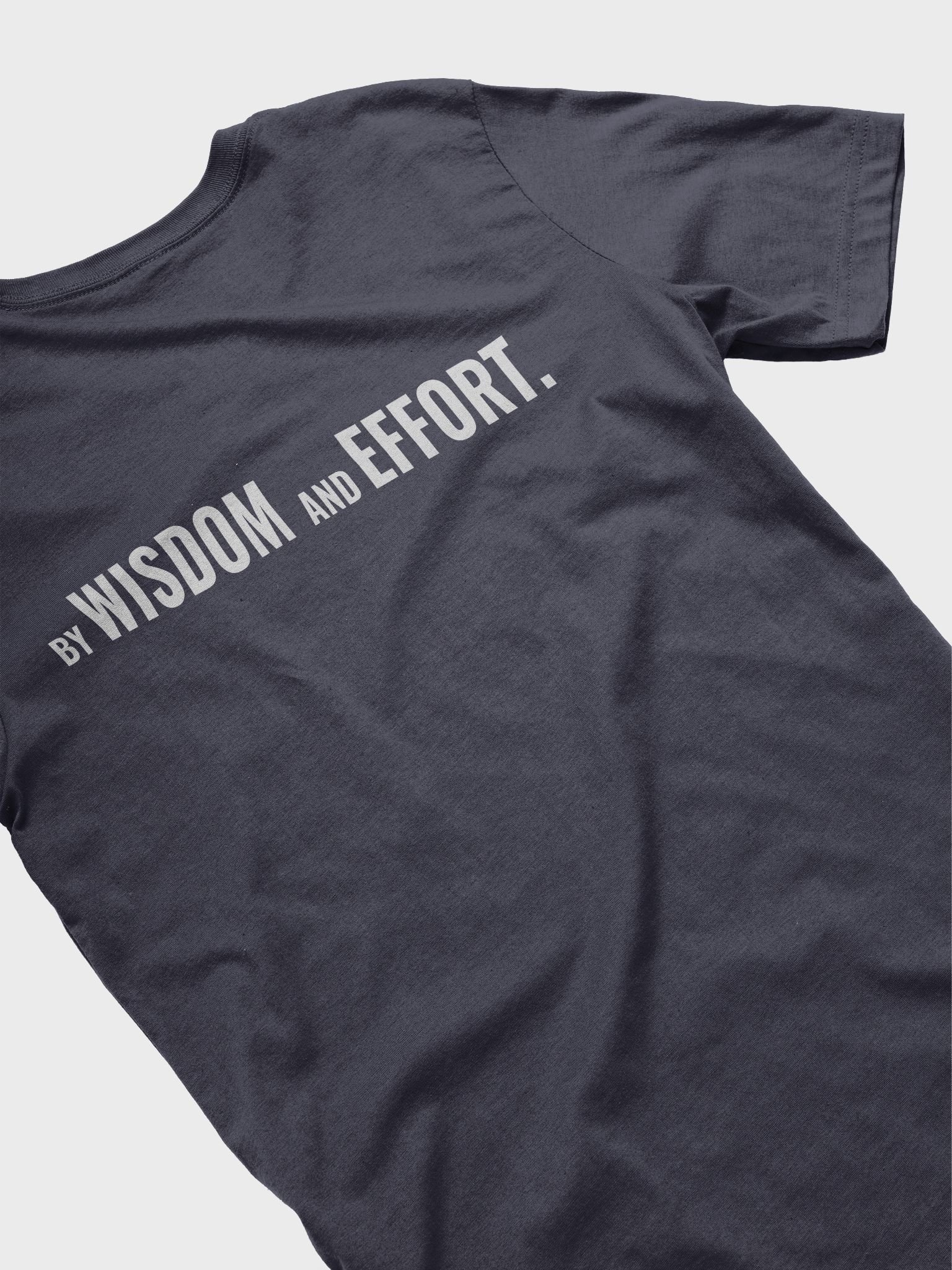 By Wisdom and Effort T-Shirt product image (1)