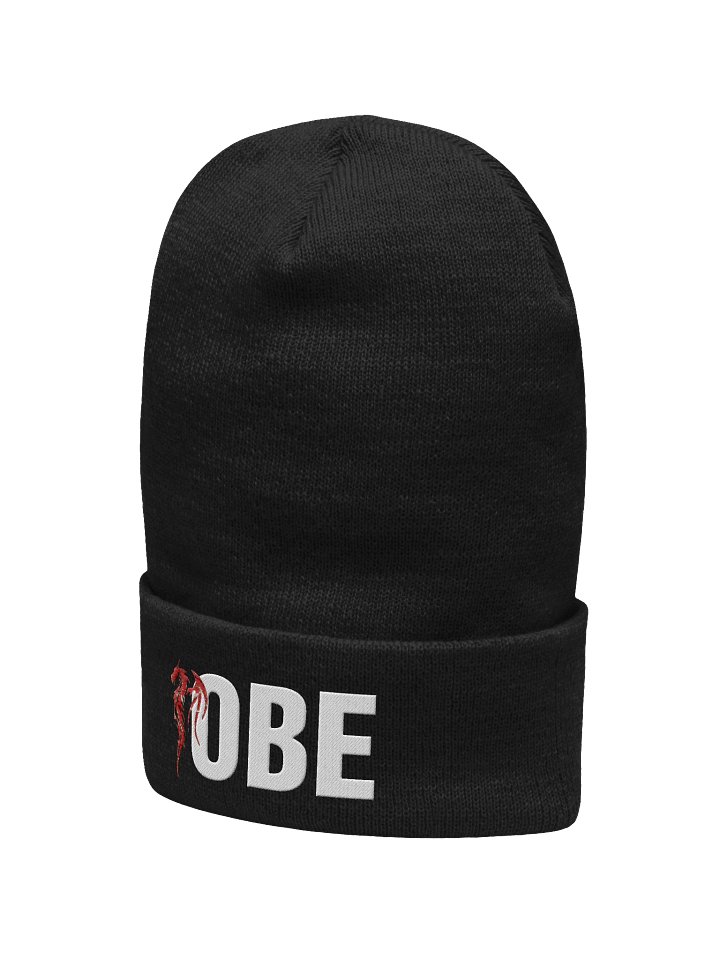 Cuffed Beanie product image (2)