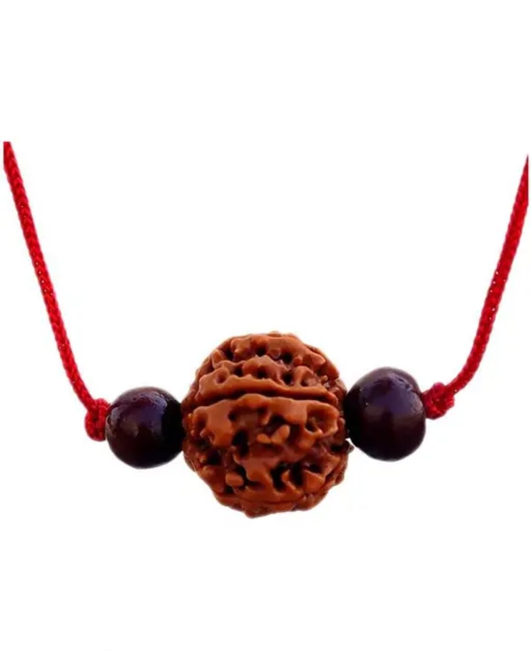 6 MUKHI RUDRAKSHA product image (1)