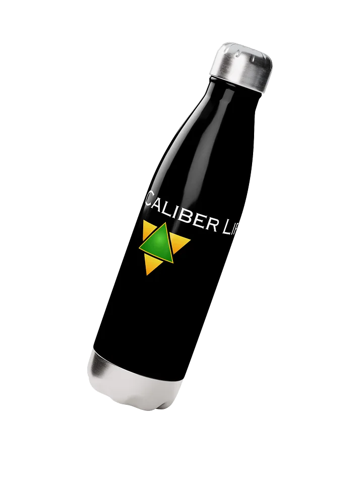 Stainless Steel Water Bottle product image (2)