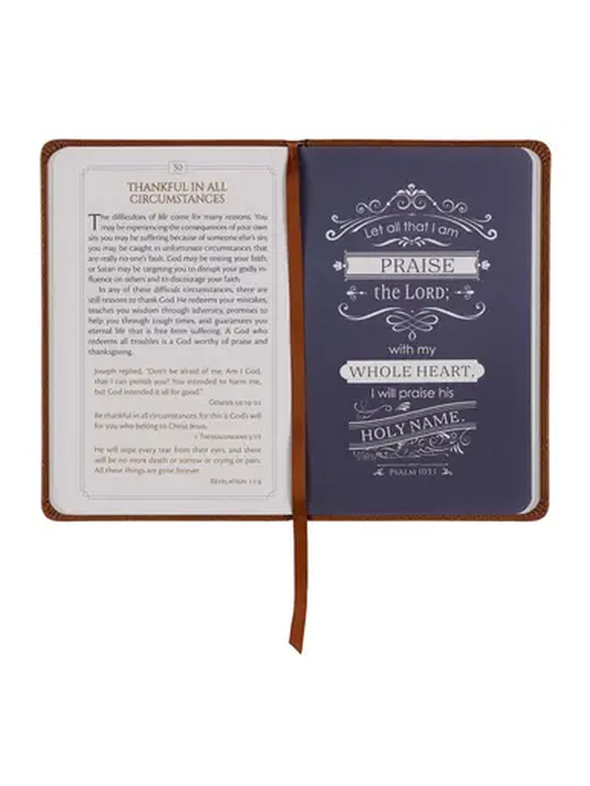 101 Devotions for Men | Premium Faux Leather Devotional Book product image (4)