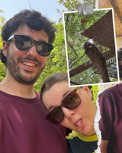 Dierentuinen zijn zo leuk 🐆 
Ik was samen met @devonneyyy naar Terra Natura hier in Spanje 🇪🇸 
.. is het duidelijk dat ik aap...