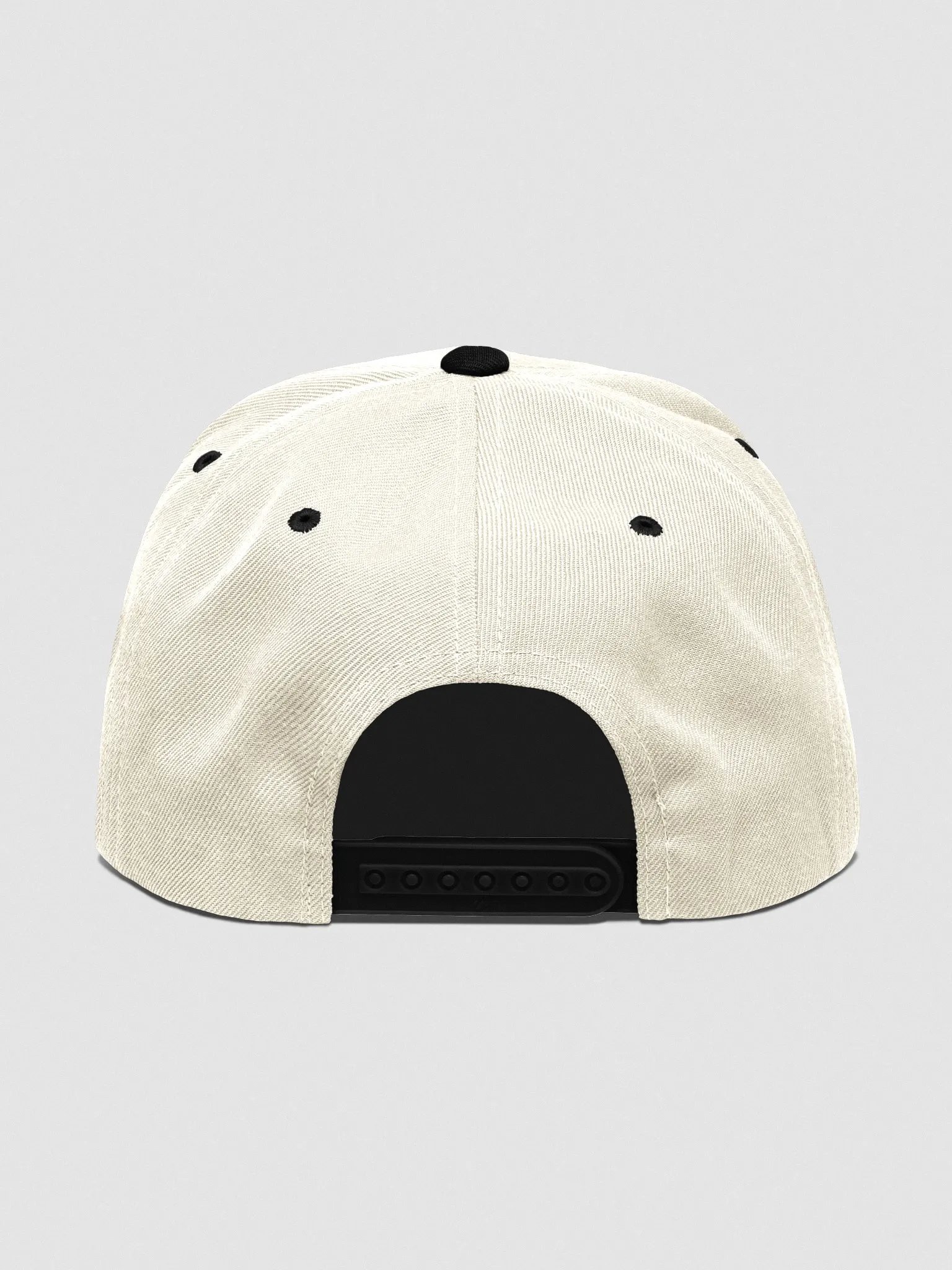Make Epicurus Great Again Cap (Wool Blend Snapback LIGHT) product image (6)